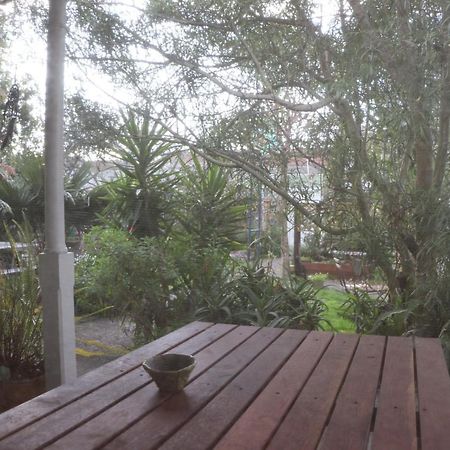 Oasis Accommodation Opotiki Bagian luar foto